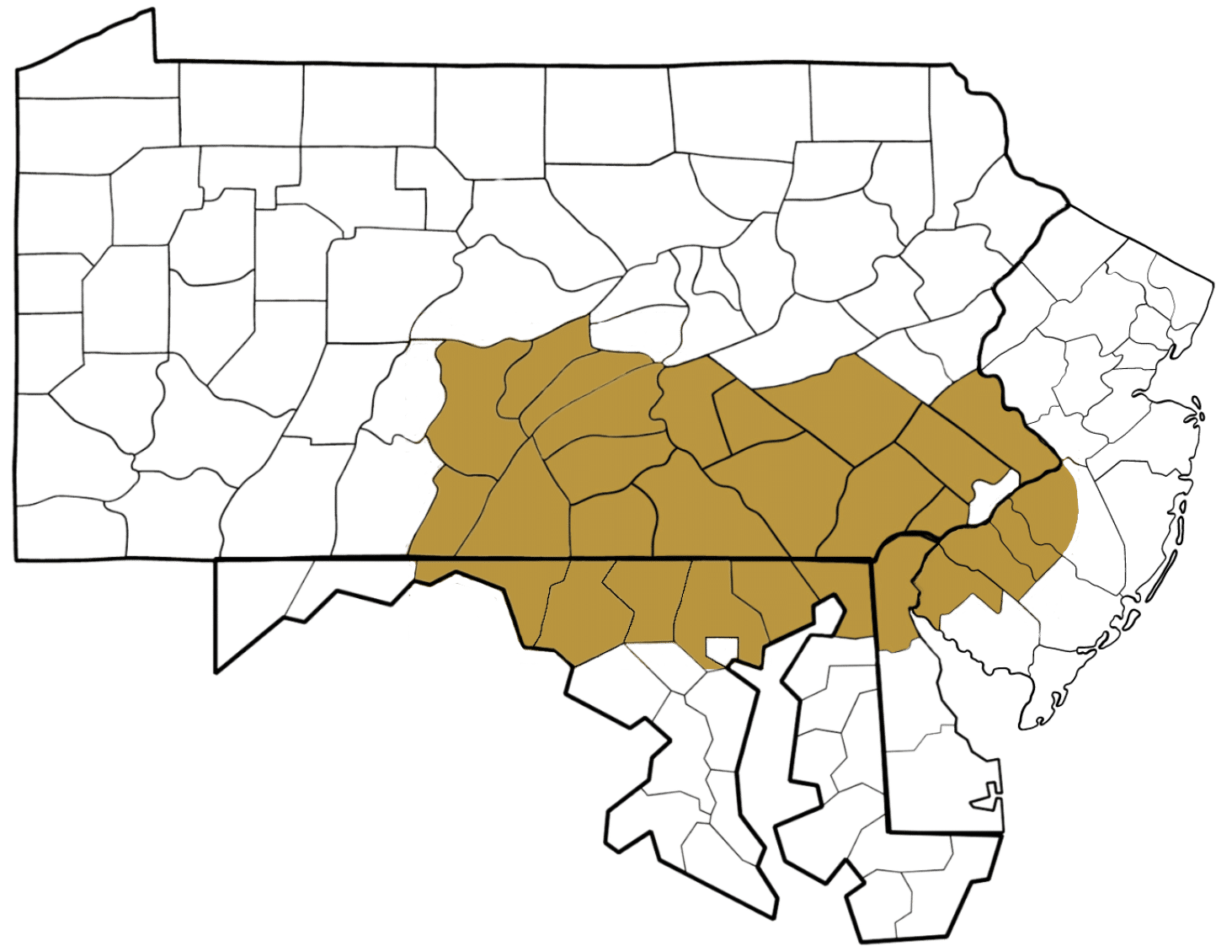 Map highlighting Central Pennsylvania, showing the counties in the region with a yellow shade. The surrounding counties are outlined in black without any shading.