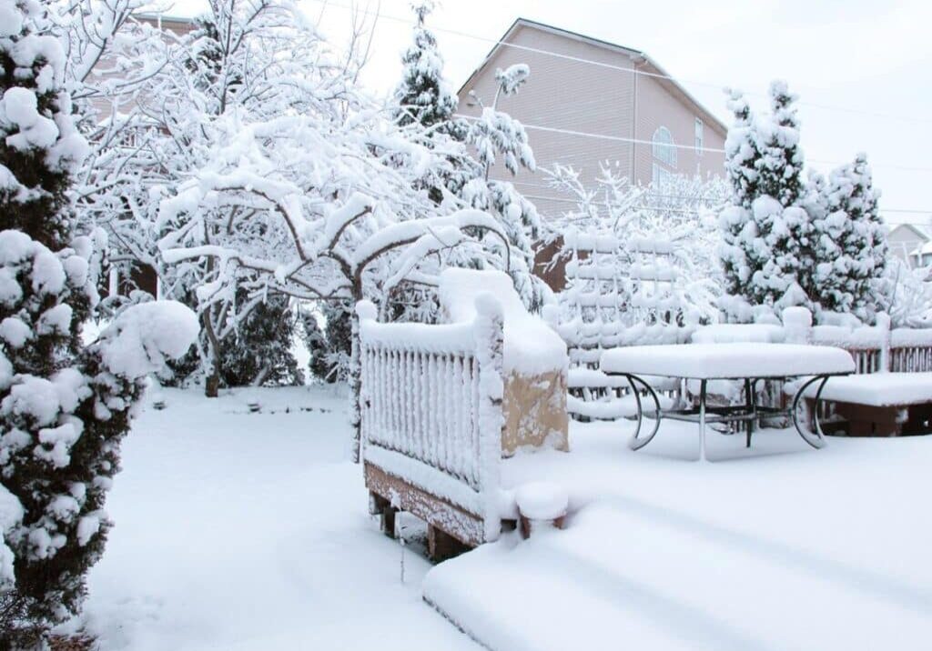 Header Image Resized